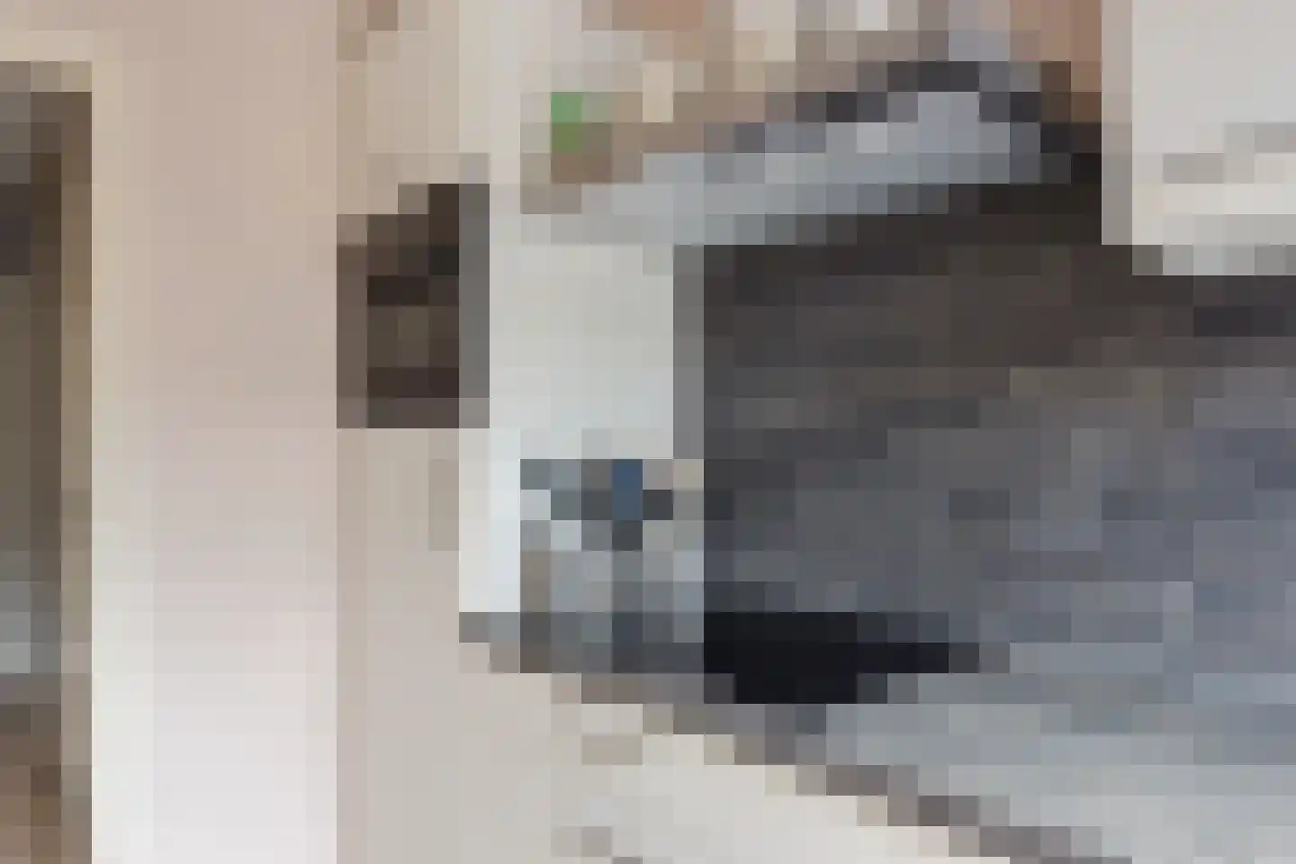 Top Naefflaan 19 Amstelveen thumbnail 22