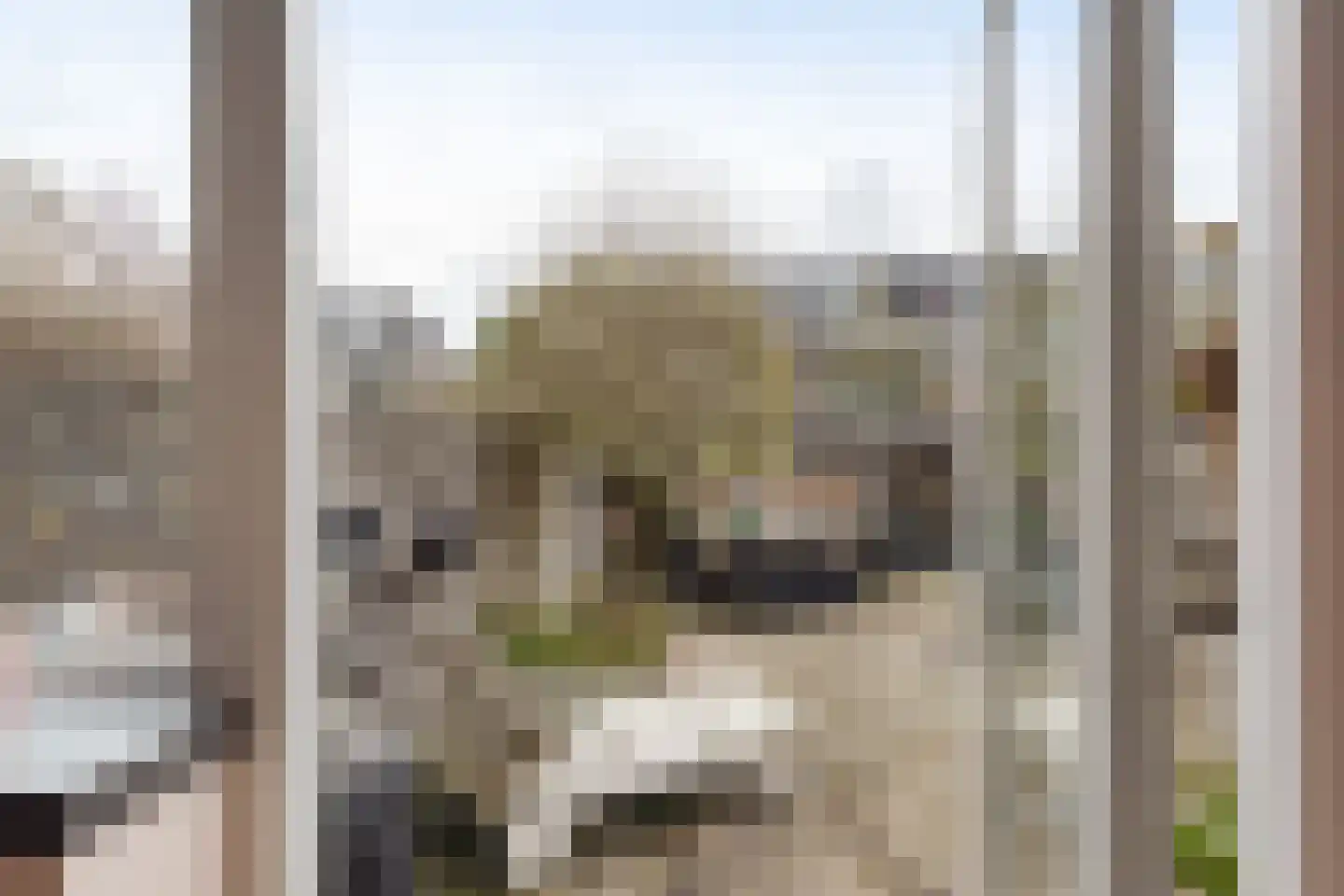 Top Naefflaan 19 Amstelveen thumbnail 23