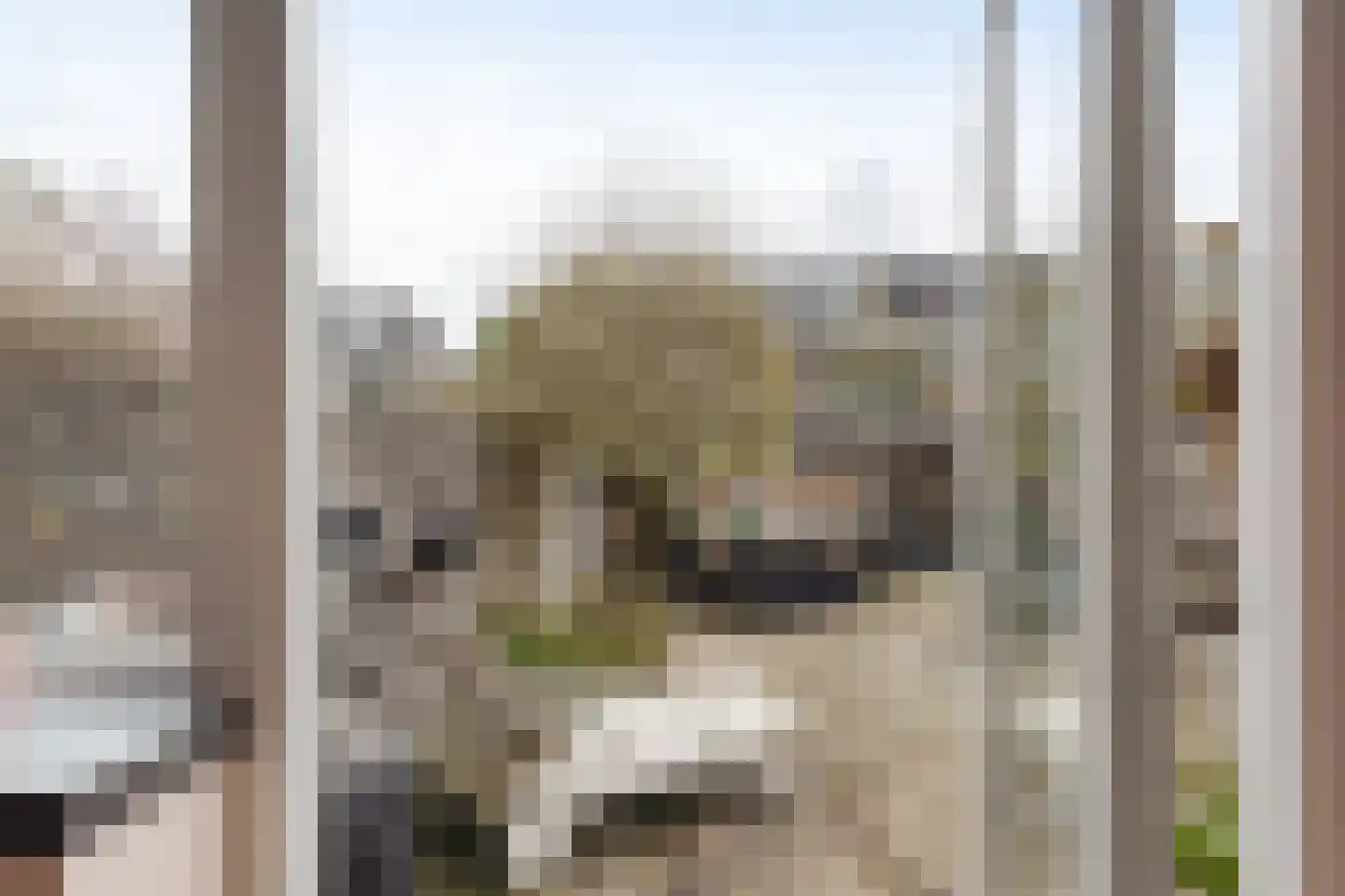 Top Naefflaan 19 Amstelveen thumbnail 23
