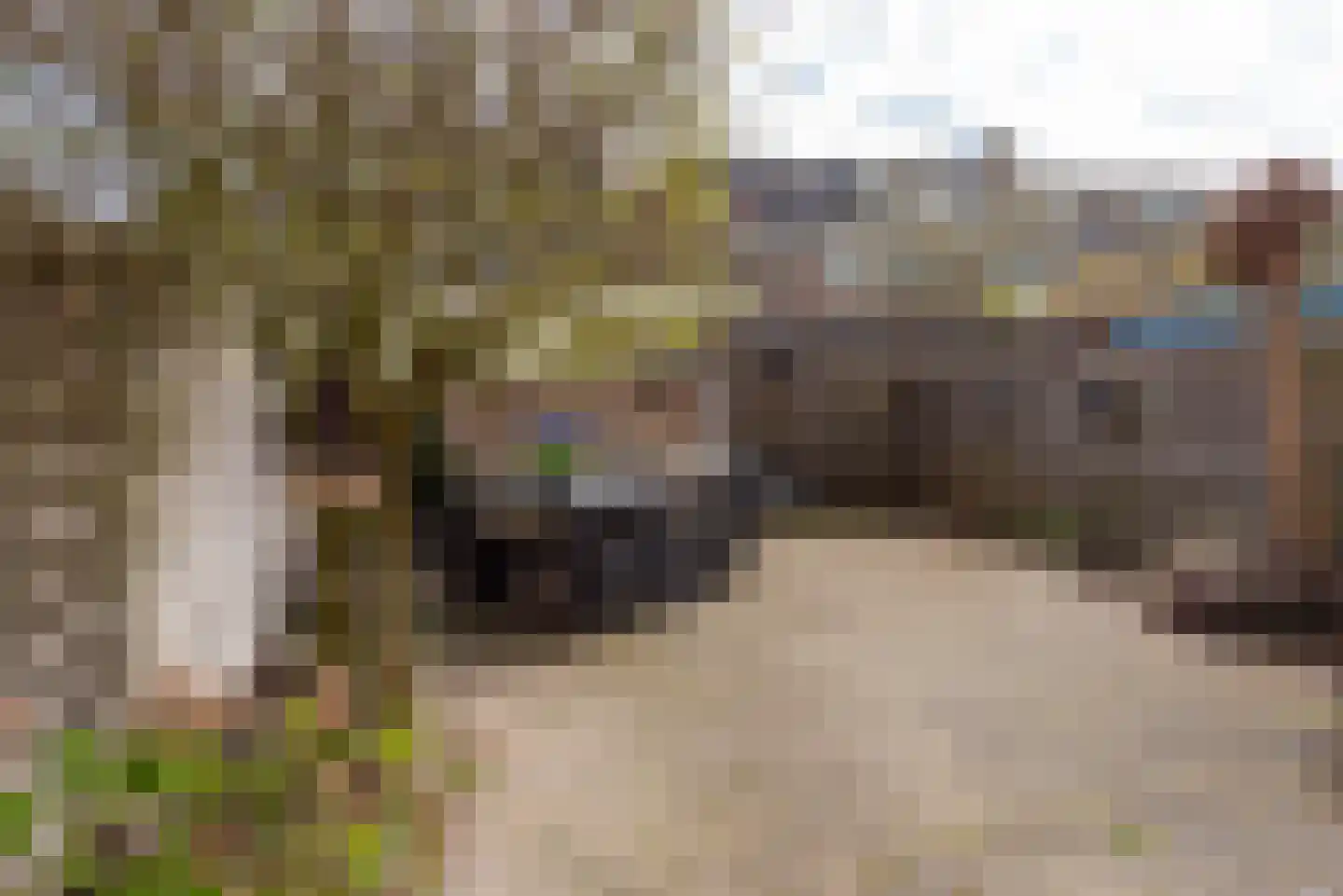 Top Naefflaan 19 Amstelveen thumbnail 36