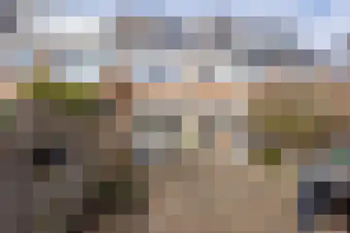 Top Naefflaan 19 Amstelveen thumbnail 39