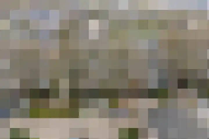 Top Naefflaan 19 Amstelveen thumbnail 41