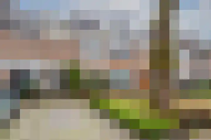 Top Naefflaan 19 Amstelveen thumbnail 5