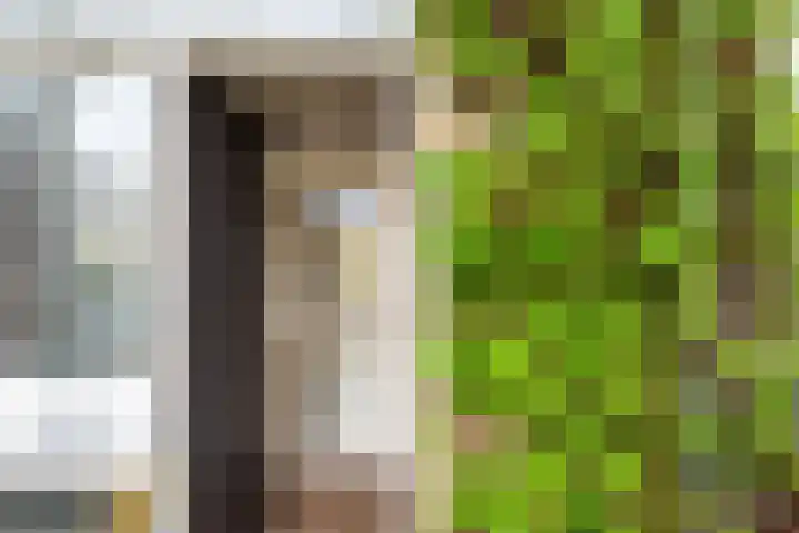 Top Naefflaan 19 Amstelveen thumbnail 7