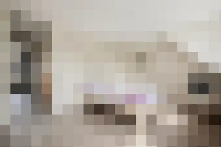 Top Naefflaan 2 Heerhugowaard thumbnail 21