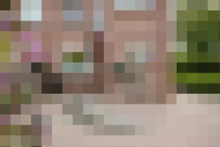 Top Naefflaan 2 Heerhugowaard thumbnail 40