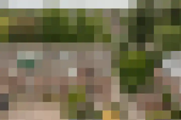 Top Naefflaan 2 Heerhugowaard thumbnail 42