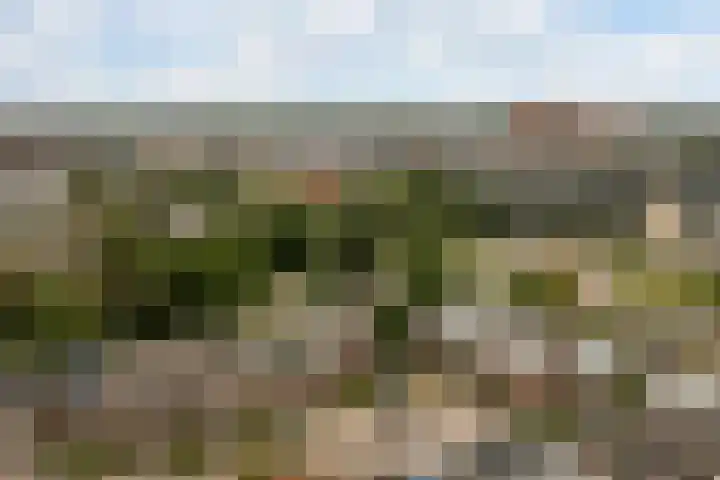 Top Naefflaan 2 Heerhugowaard thumbnail 43