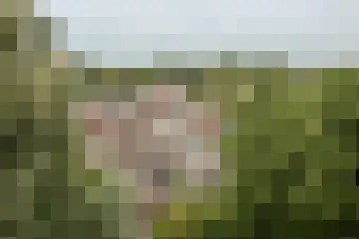 Top Naefflaan 2 Heerhugowaard thumbnail 44