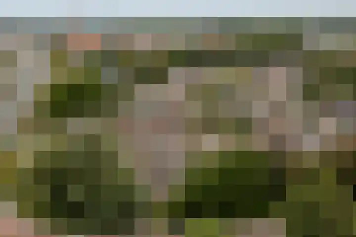 Top Naefflaan 2 Heerhugowaard thumbnail 45