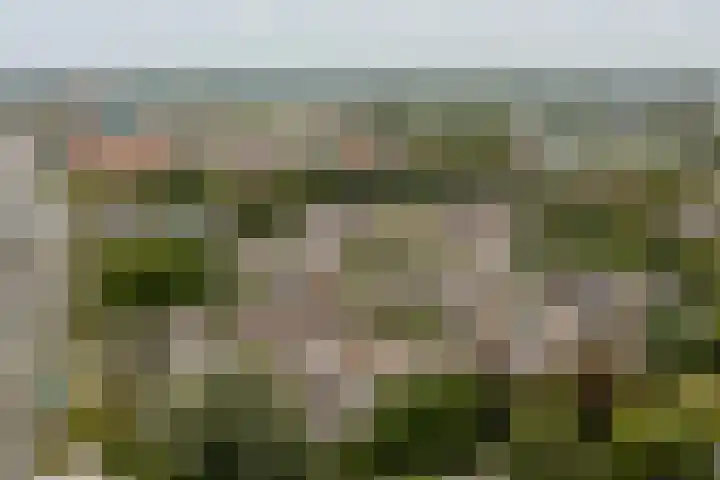 Top Naefflaan 2 Heerhugowaard thumbnail 46