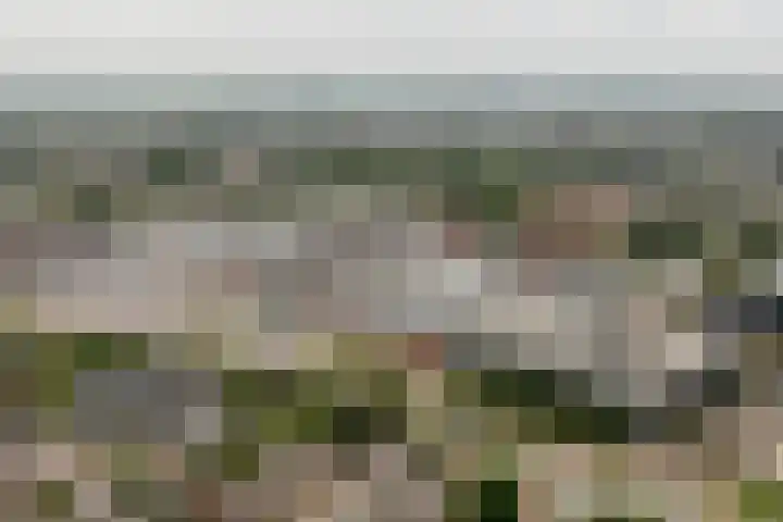 Top Naefflaan 2 Heerhugowaard thumbnail 47