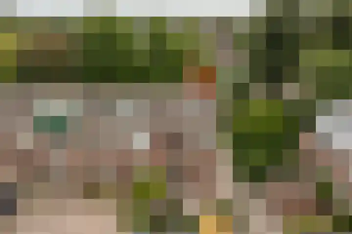 Top Naefflaan 2 Heerhugowaard thumbnail 53
