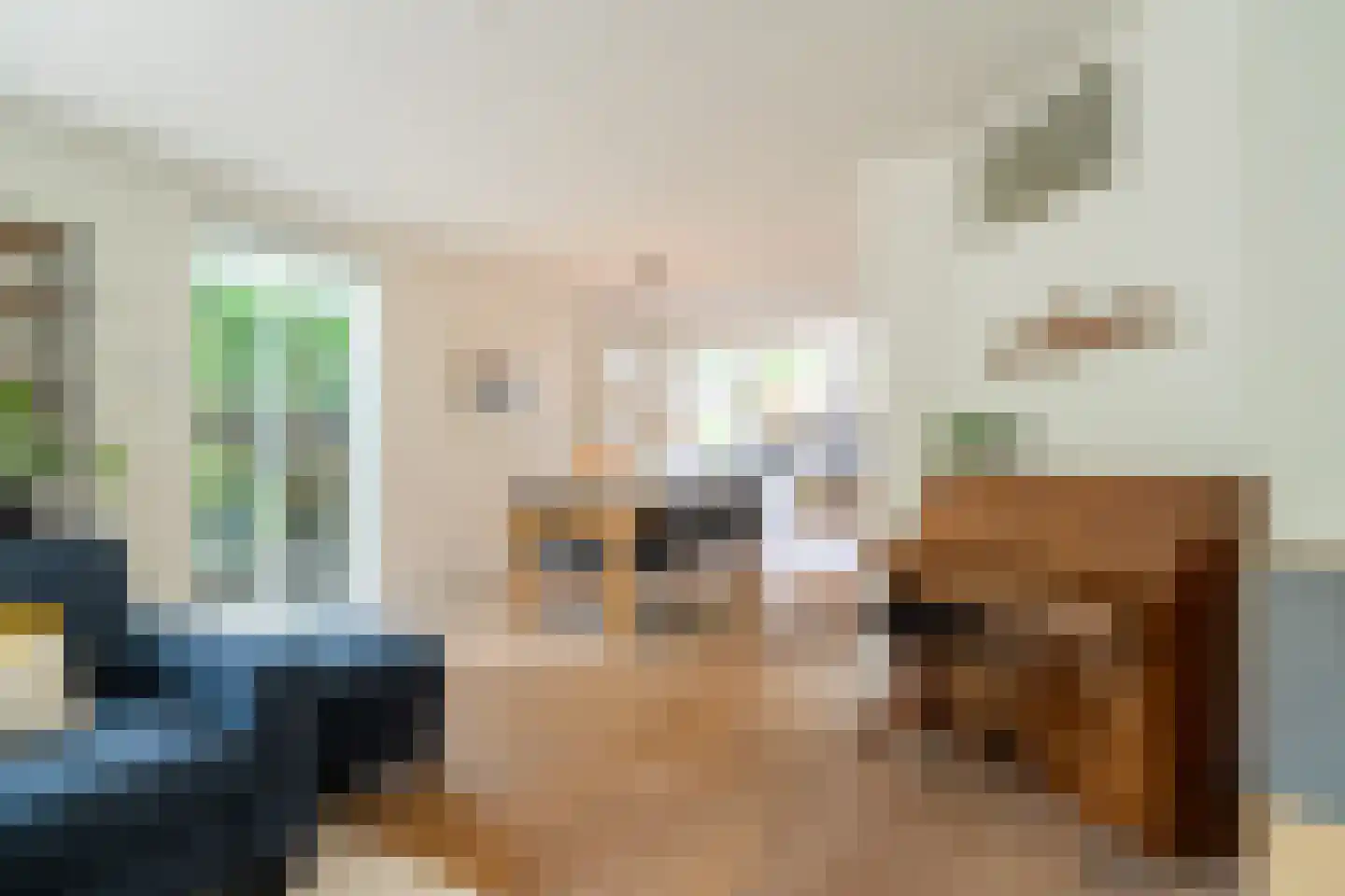 Top Naefflaan 21 Groningen thumbnail 22