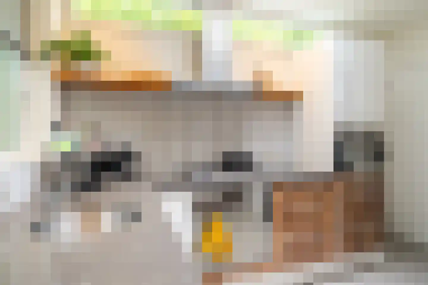 Top Naefflaan 21 Groningen thumbnail 30