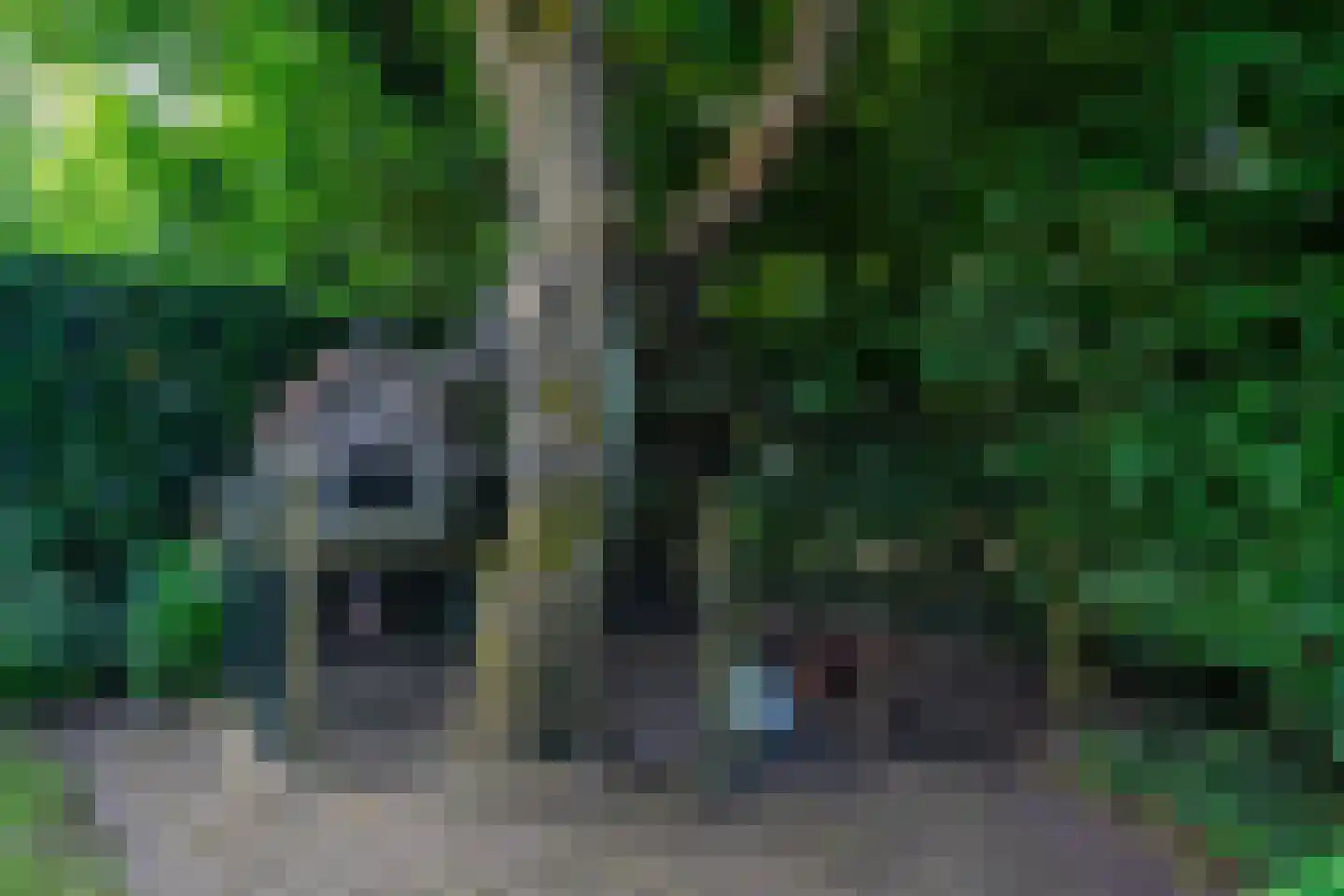 Top Naefflaan 21 Groningen thumbnail 71