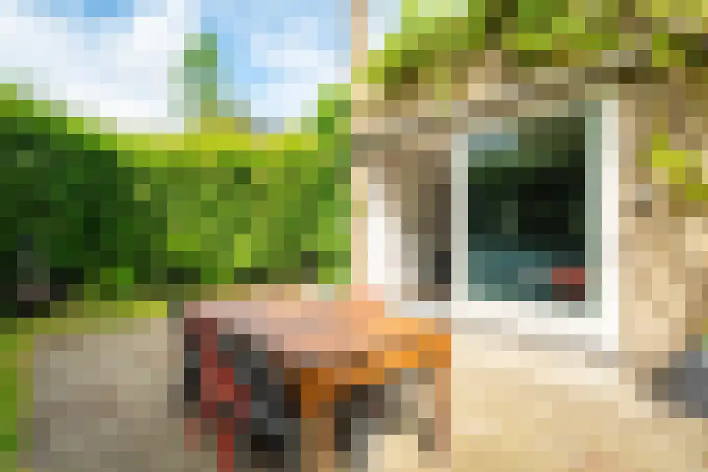 Top Naefflaan 21 Groningen thumbnail 73