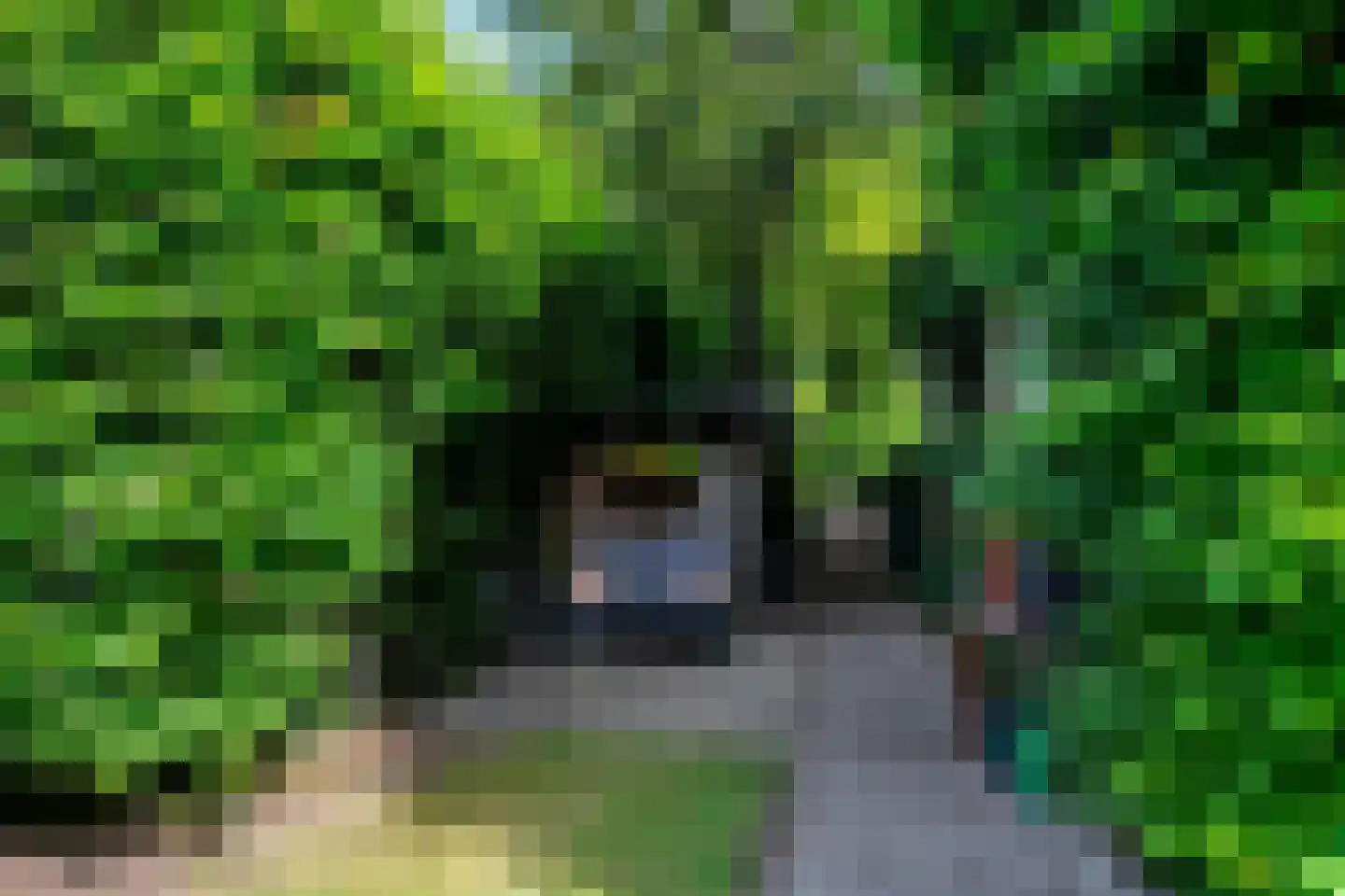 Top Naefflaan 21 Groningen thumbnail 74