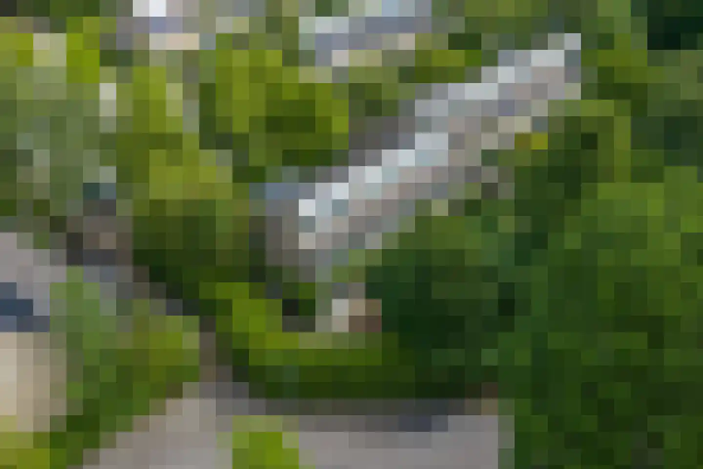 Top Naefflaan 21 Groningen thumbnail 76