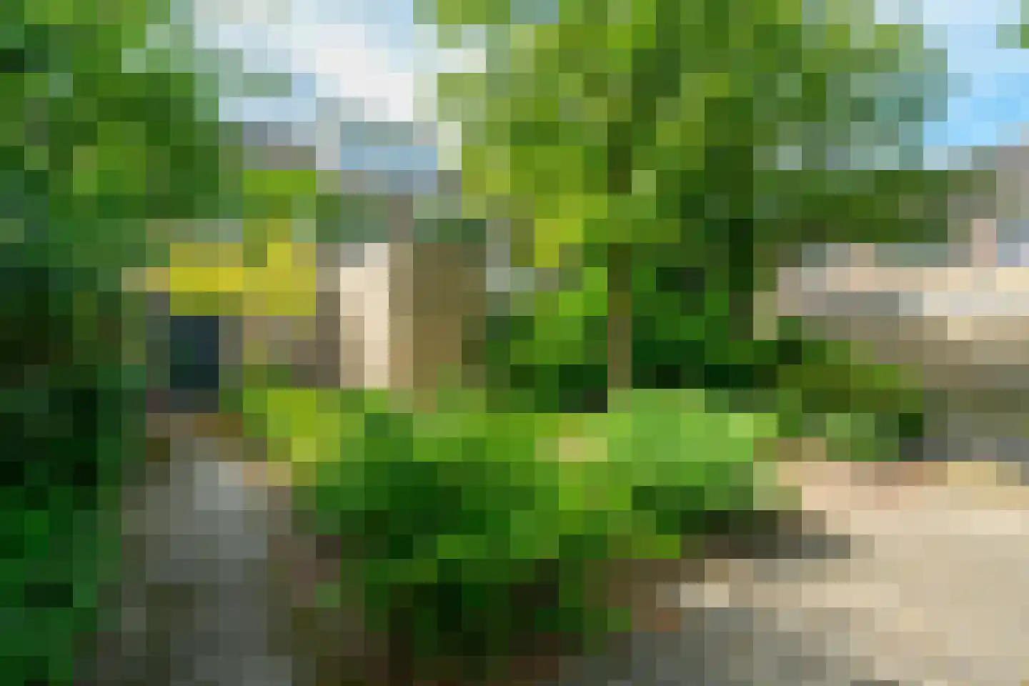 Top Naefflaan 21 Groningen thumbnail 8