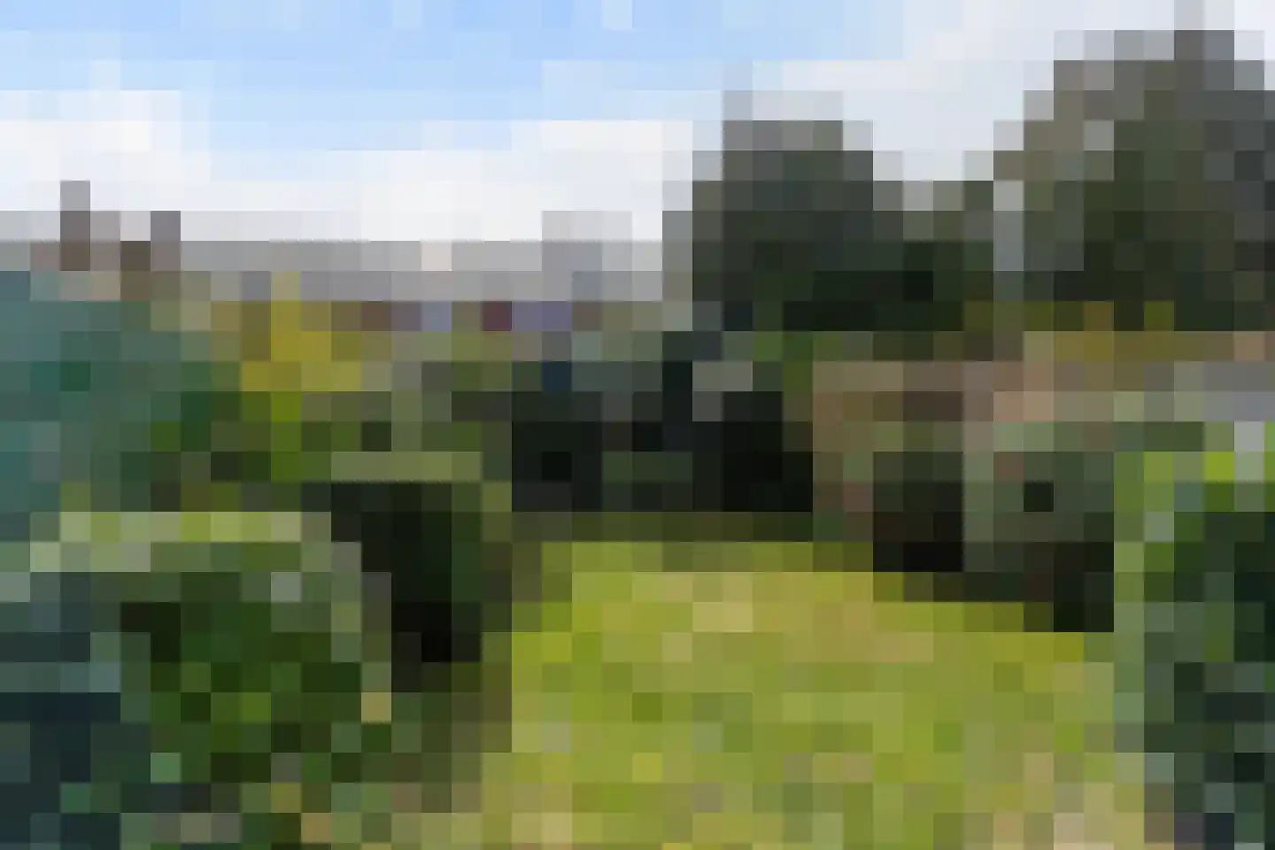Top Naefflaan 31 Bussum thumbnail 21