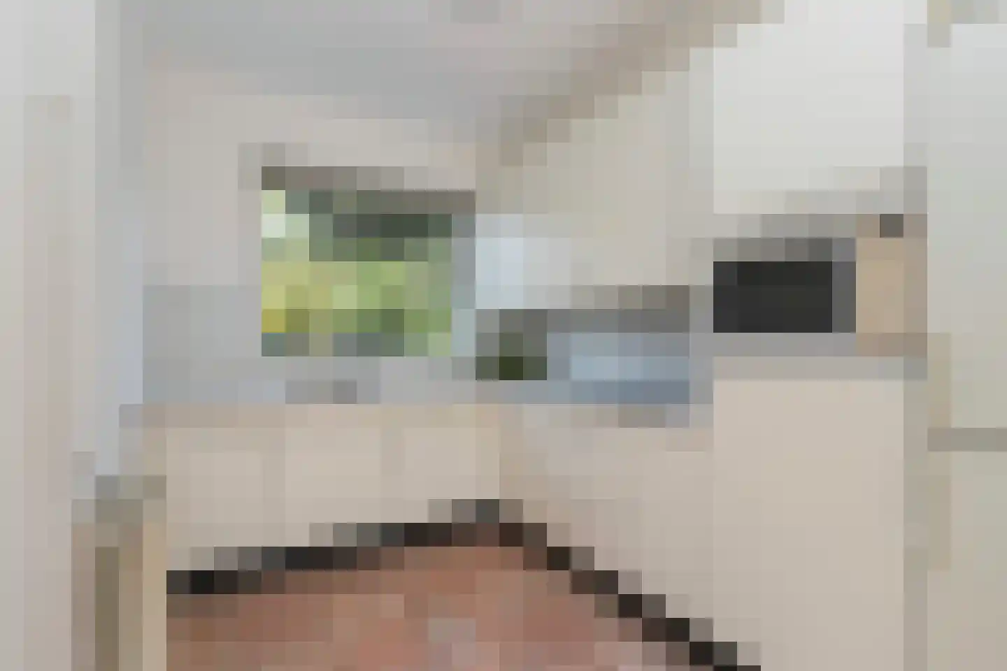 Top Naefflaan 31 Bussum thumbnail 9