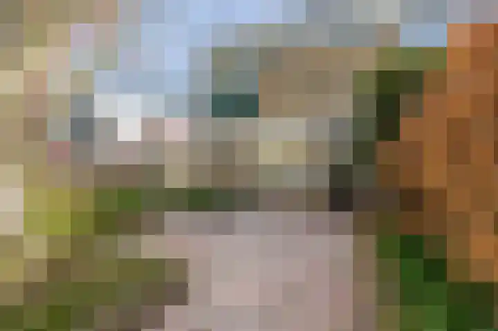 Top Naefflaan 34 Amstelveen thumbnail 29