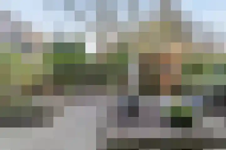 Top Naefflaan 42 Groningen thumbnail 28