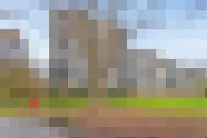 Top Naefflaan 42 Groningen thumbnail 34