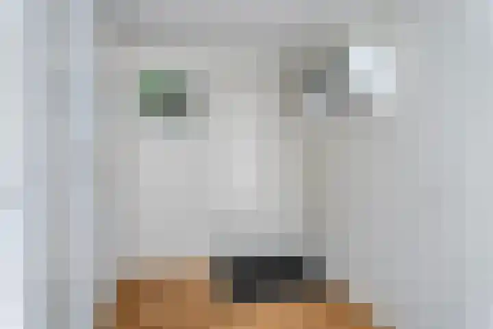 Top Naefflaan 42 Groningen thumbnail 7