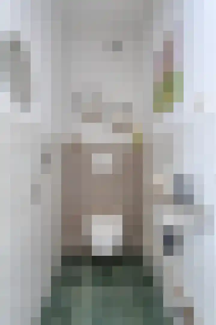 Top Naefflaan 42 Groningen thumbnail 8