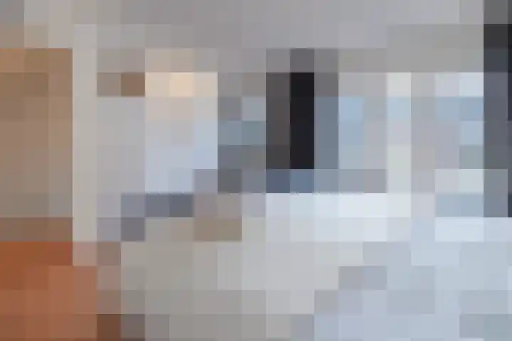 Top Naefflaan 54 Bussum thumbnail 16