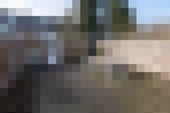 Top Naefflaan 54 Bussum thumbnail 31