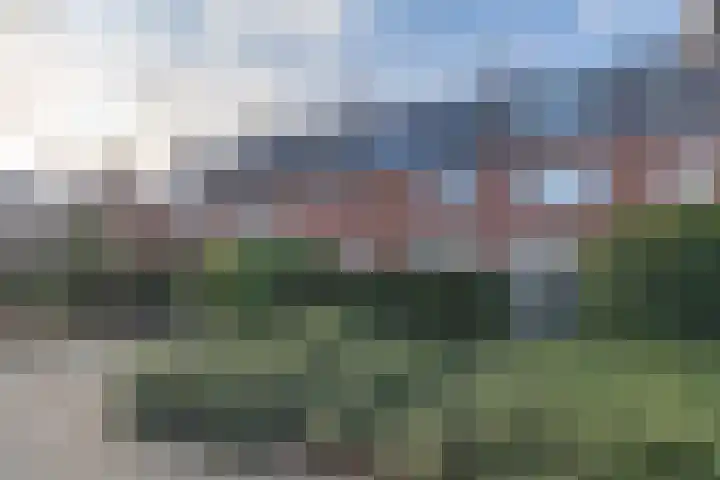 Top Naefflaan 54 Bussum thumbnail 34