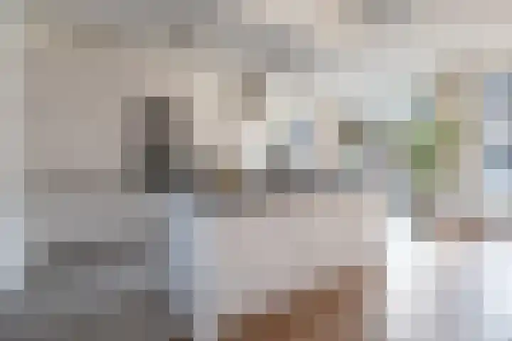 Top Naefflaan 54 Bussum thumbnail 6