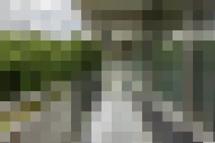 Top Naefflaan 63 Groningen thumbnail 15