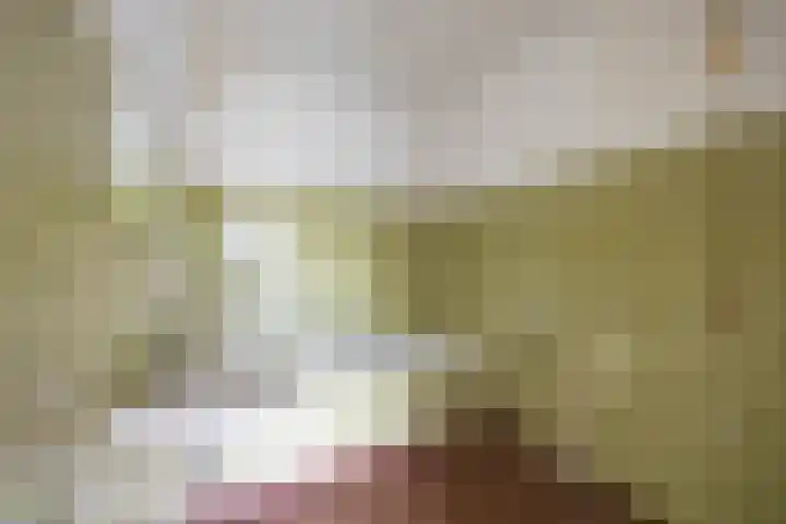Top Naefflaan 63 Groningen thumbnail 20