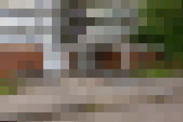 Top Naefflaan 63 Groningen thumbnail 4
