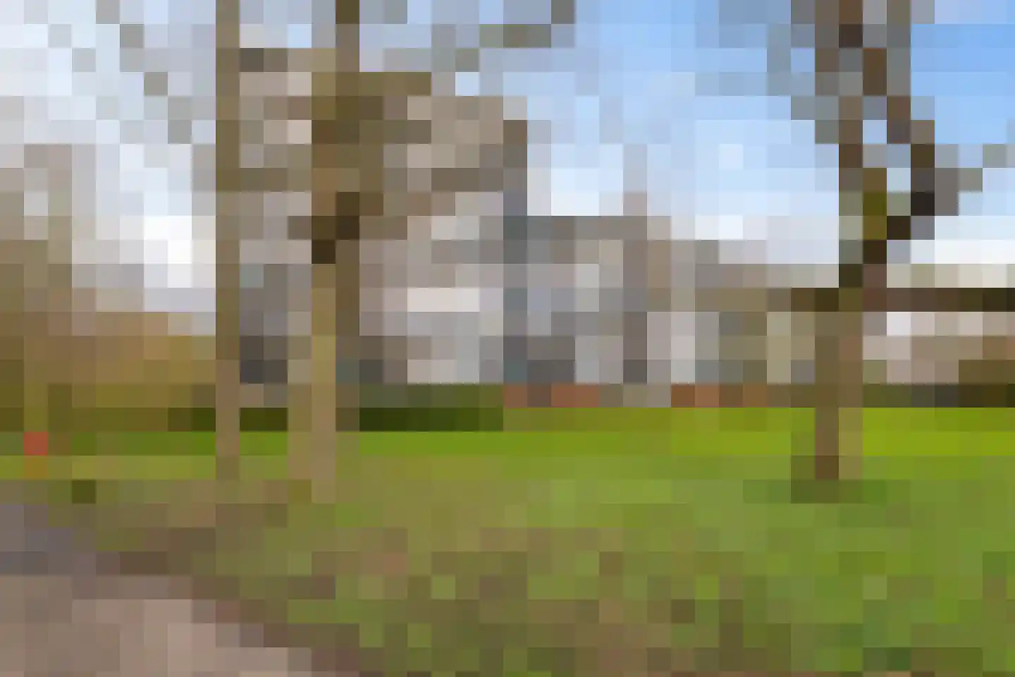 Top Naefflaan 66 Groningen thumbnail 20