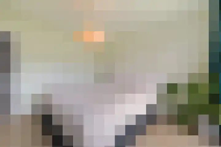 Top Naefflaan 71 Bussum thumbnail 23