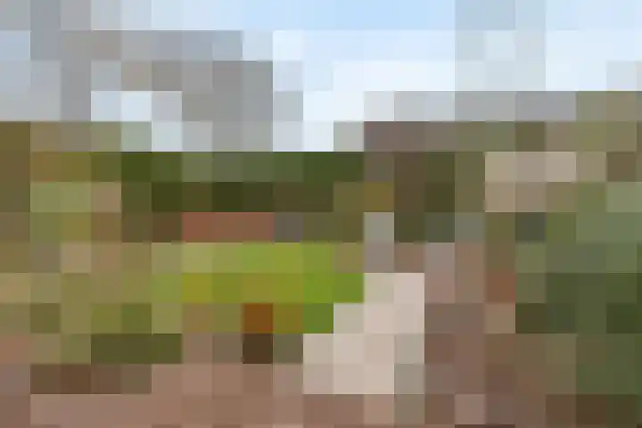 Top Naefflaan 71 Bussum thumbnail 34