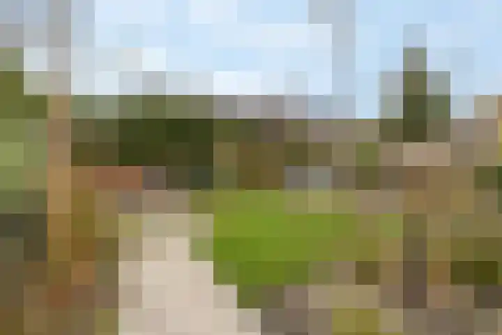 Top Naefflaan 71 Bussum thumbnail 35