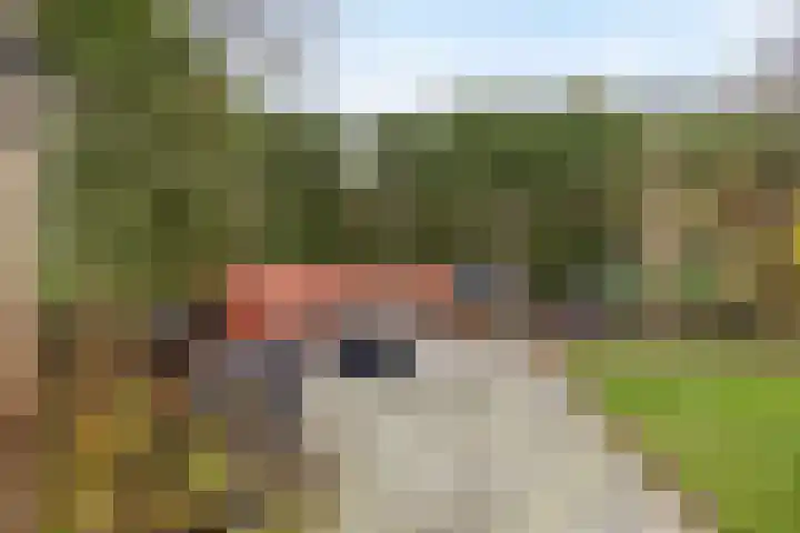 Top Naefflaan 71 Bussum thumbnail 36