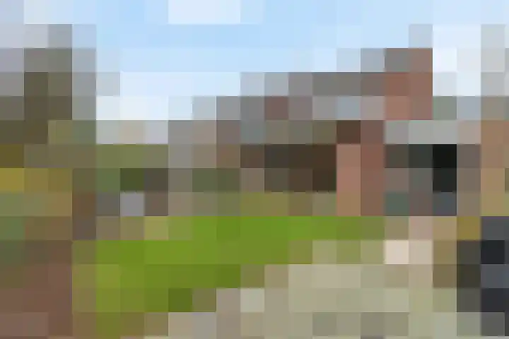 Top Naefflaan 71 Bussum thumbnail 37