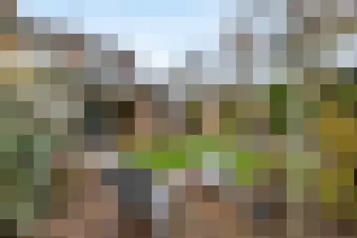 Top Naefflaan 71 Bussum thumbnail 38