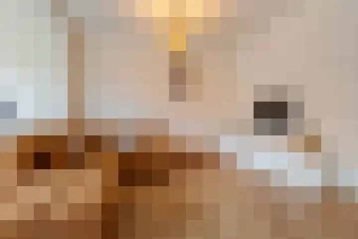 Top Naefflaan 71 Bussum thumbnail 6