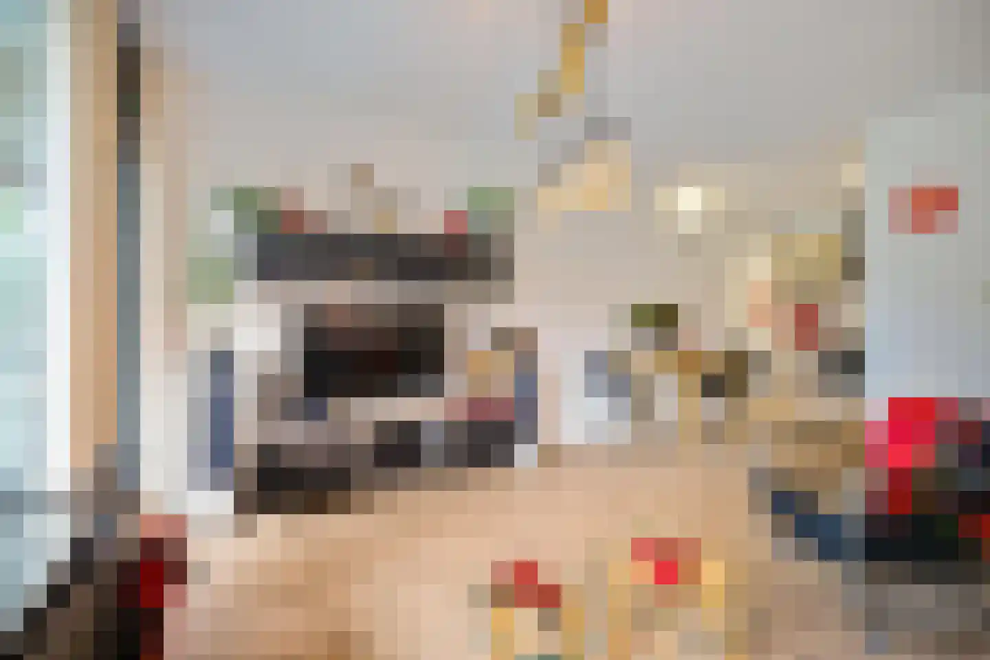 Top Naefflaan 74 Groningen thumbnail 15