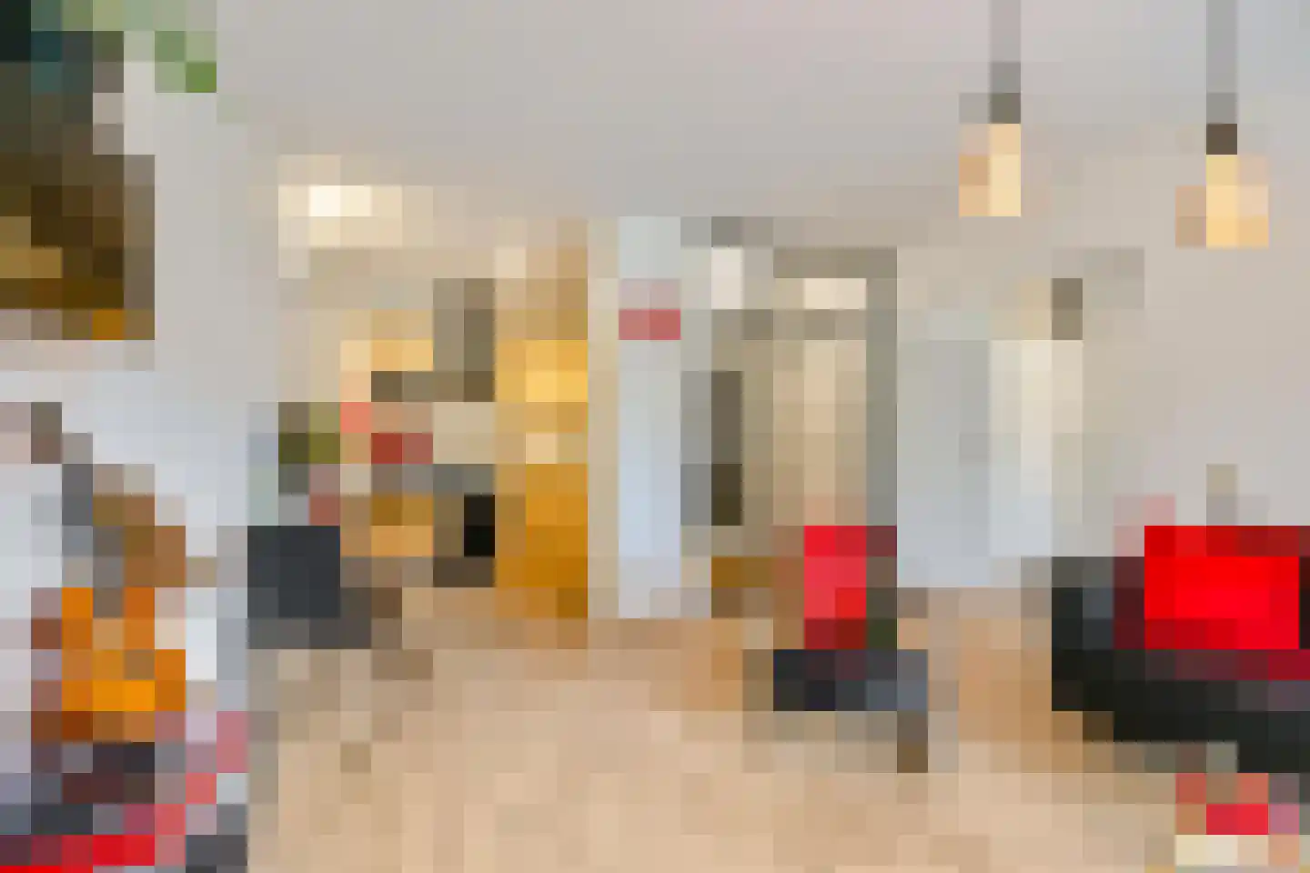 Top Naefflaan 74 Groningen thumbnail 16