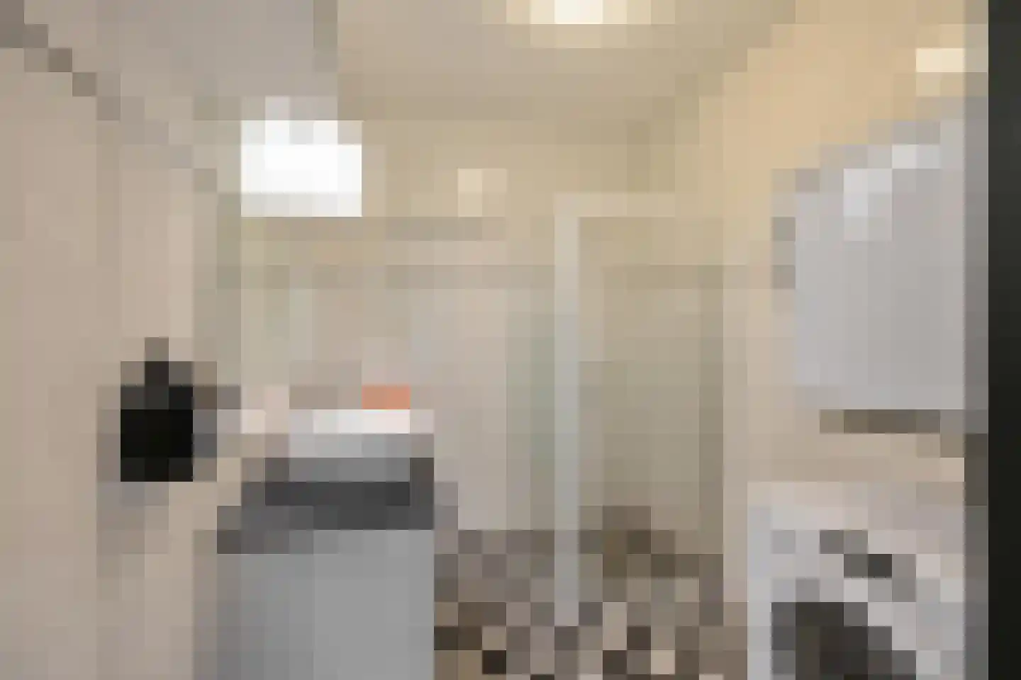 Top Naefflaan 74 Groningen thumbnail 25