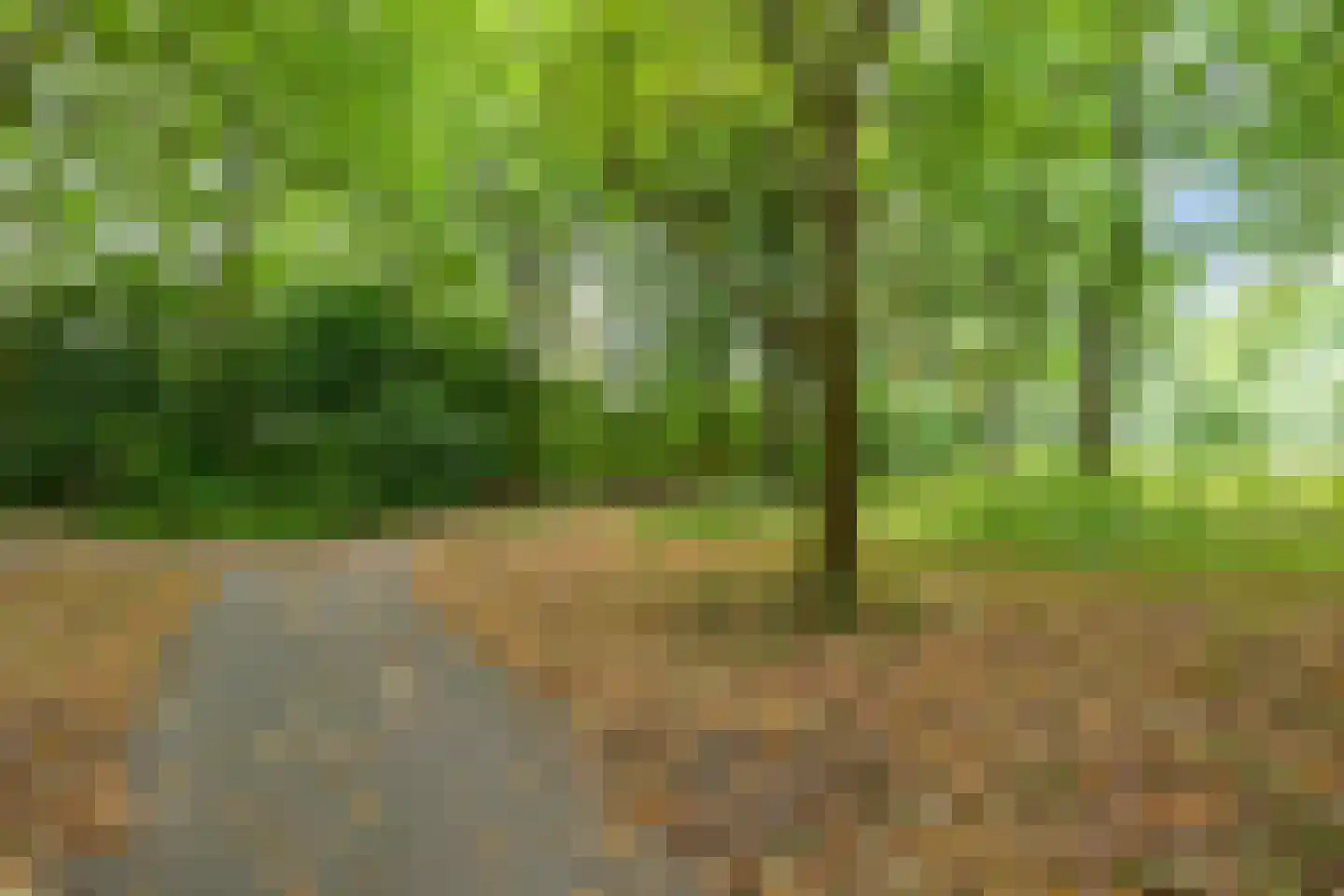Top Naefflaan 74 Groningen thumbnail 31